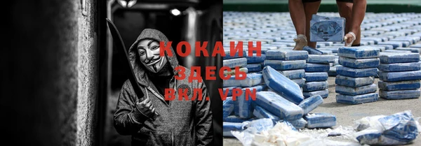 гидра Вязьма
