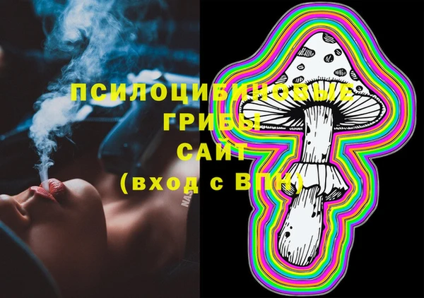 кокс Вяземский