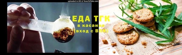 гидра Вязьма