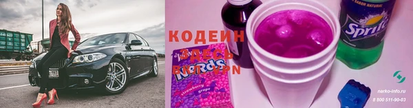 гидра Вязьма