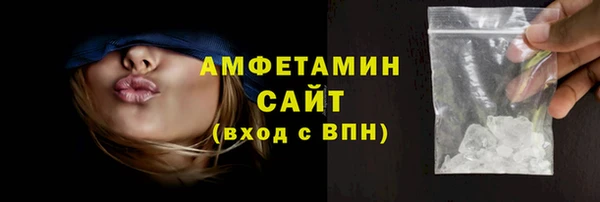 гидра Вязьма