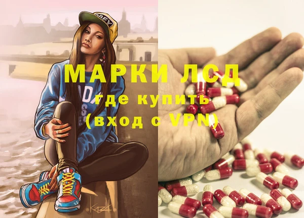 гидра Вязьма