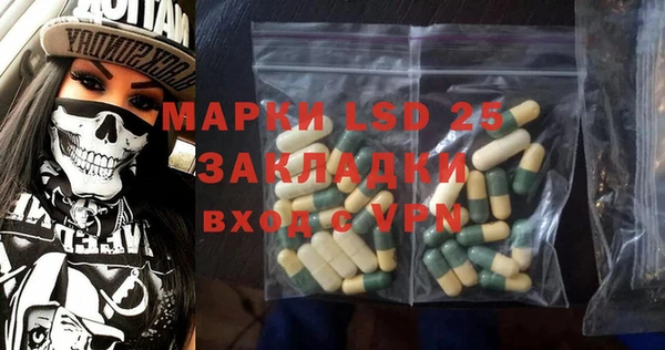 гидра Вязьма