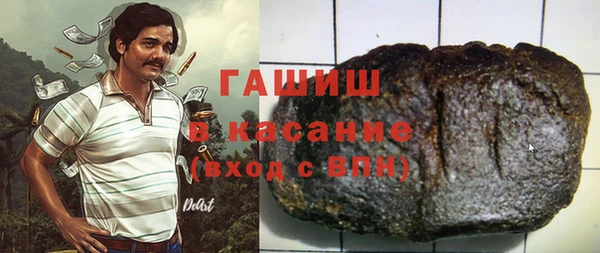 гидра Вязьма