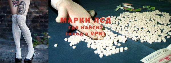 гидра Вязьма