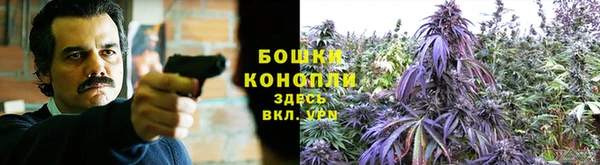 Альфа ПВП Вязники